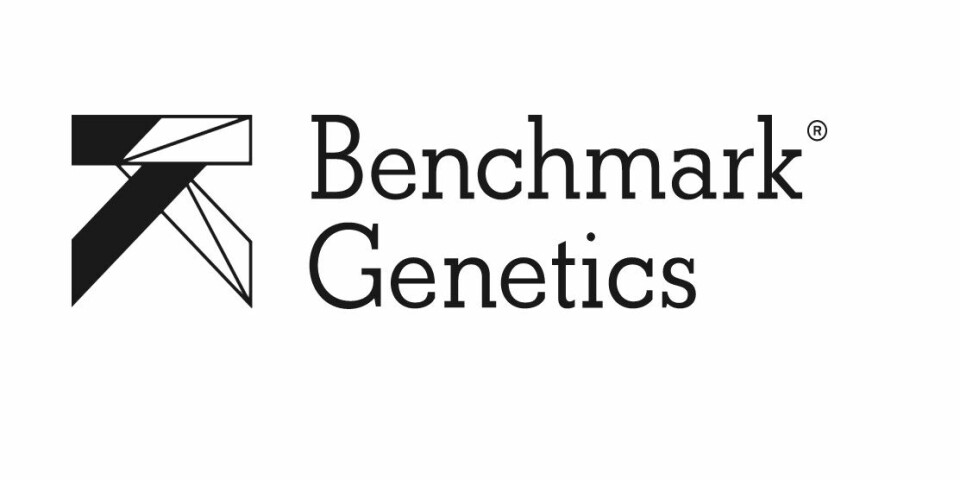 Benchmark Genetics logo