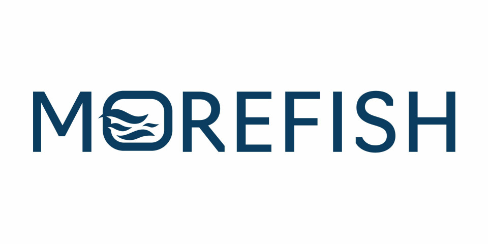 Morefish Logo