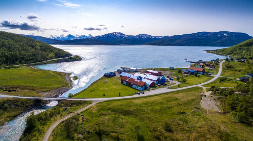 Forskningstekniker