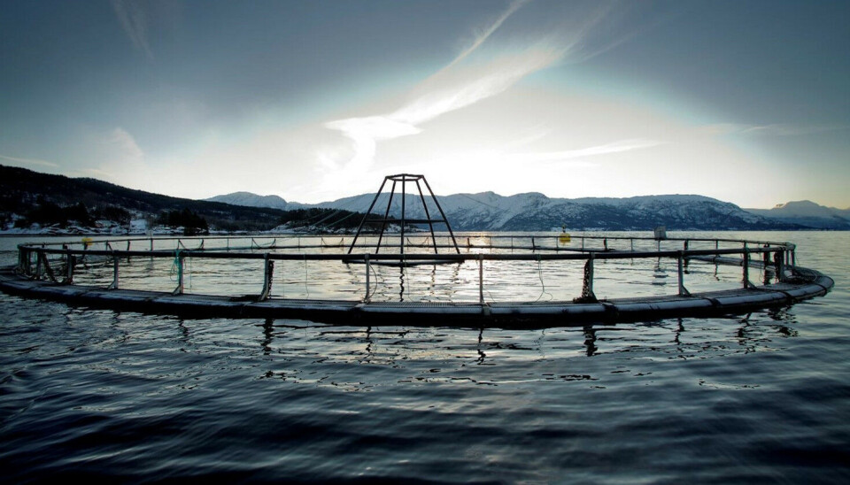 Driftsteknikar/Lokalitetsansvarleg avd. Hardanger