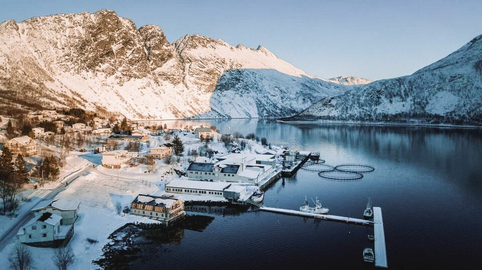 Kvalitetsleder