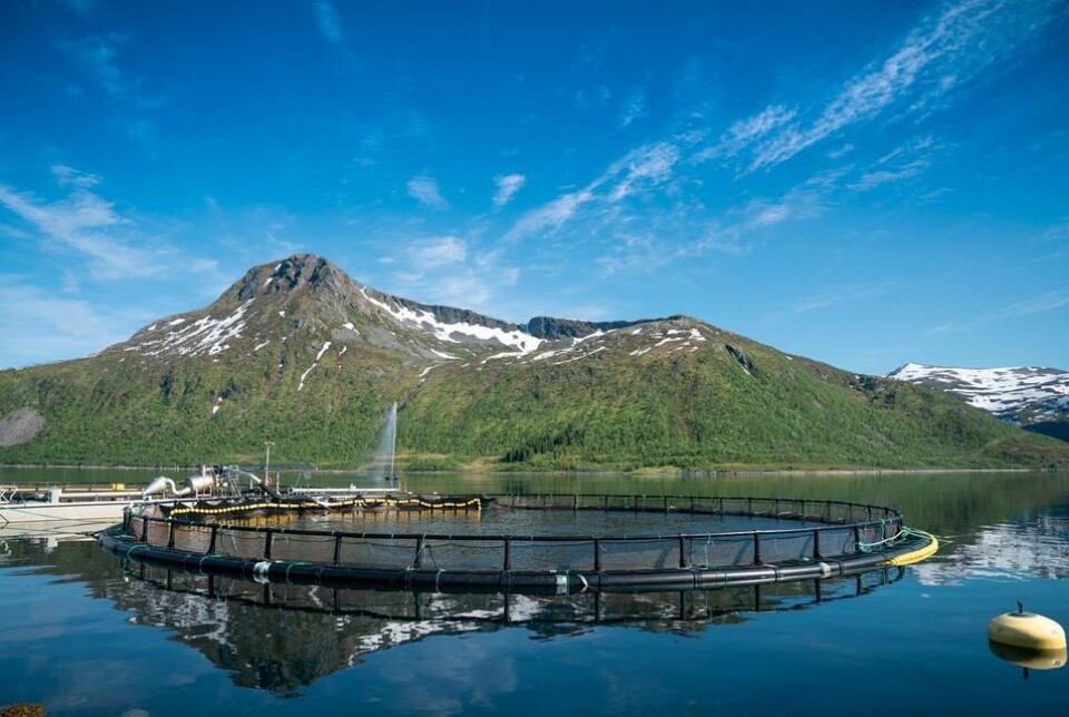 Kvalitetsleder