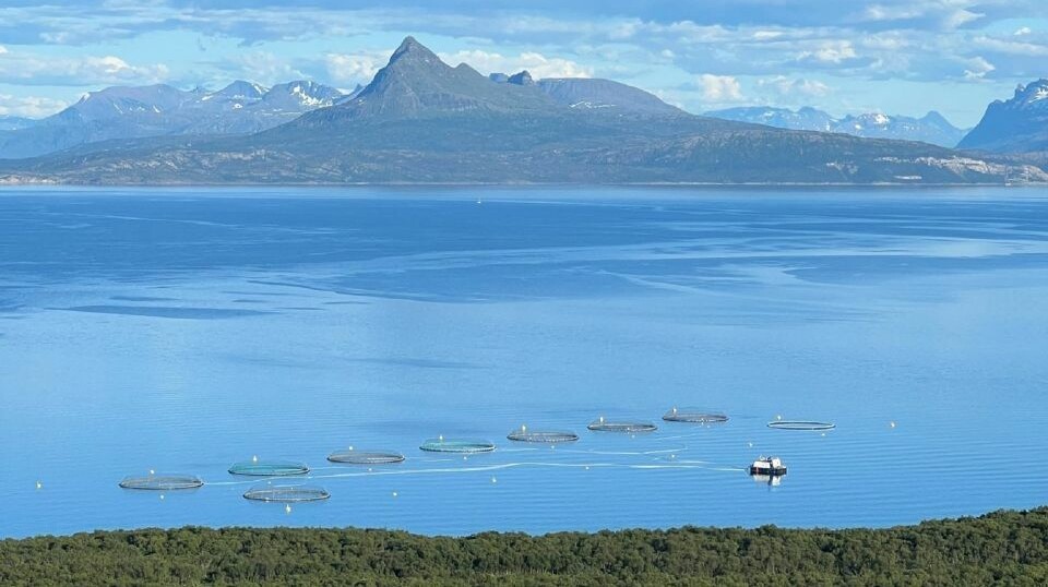 Lokalitetskoordinator Vågsfjord, Troms