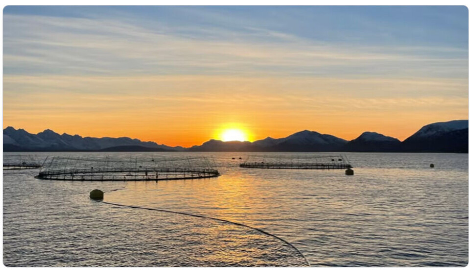 Røkter/driftsoperatør